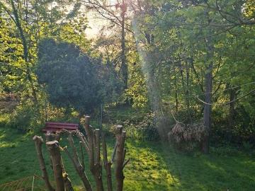 GrundstückHaus mit viel Entwicklungspotenzial im Zooviertel