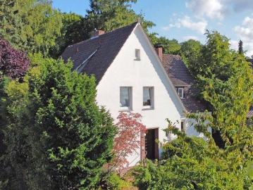 Grüne Idylle mitten in der Stadt