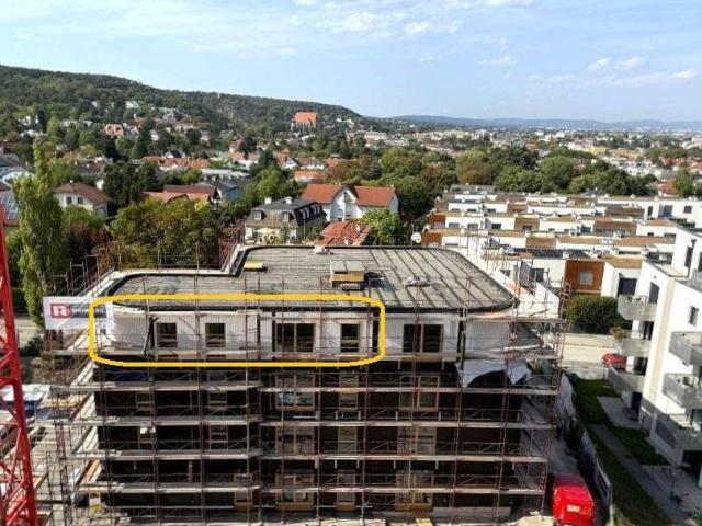 GRÜNE STADTVILLEN GANZ OBEN! | 3 Zimmer im DG | Holzbauweise Modern Nachhaltig | Provisionsfrei!