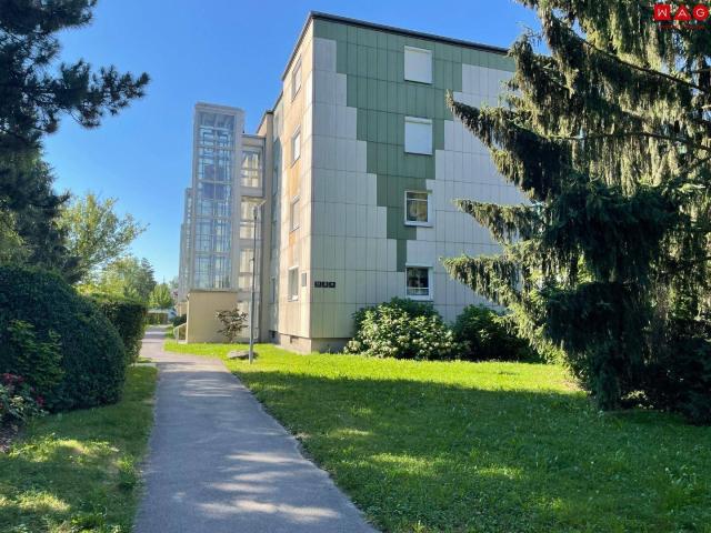 Grünes, idyllisches Wohnen im beliebten Stadtteil Oed! Schöne und modern geschnitte Wohnung die sich aktuell in Sanierung befindet!
