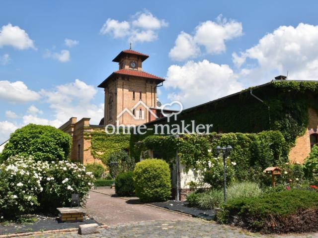 Grünes Leben im Denkmal
