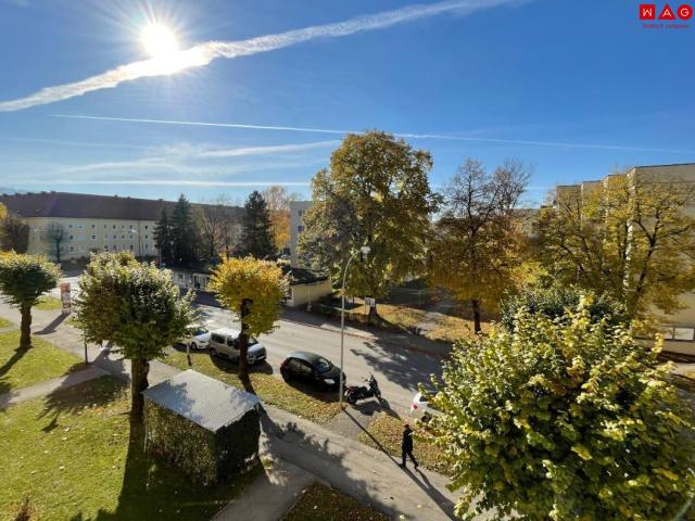 grünes wohnen in sonniger lage lädt zum erholen und entspannen ein! sehr gemütlich, hell und freundlich, schöner schnitt! 1a infrastruktur! sofort verfügbar!