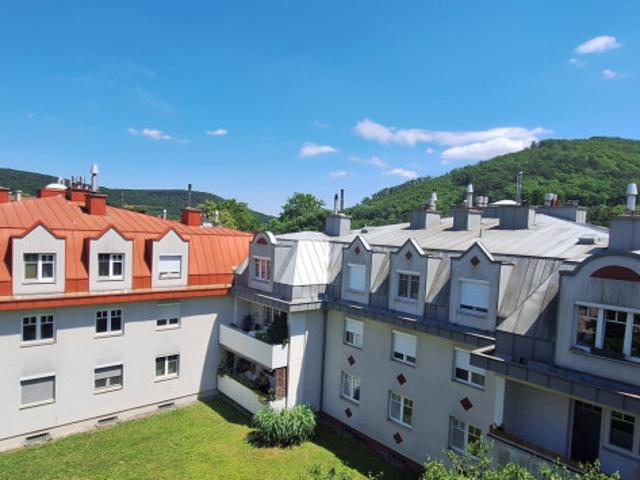 Grünruhelage, gepflegte 3 Zimmer Dachgeschoss Wohnung