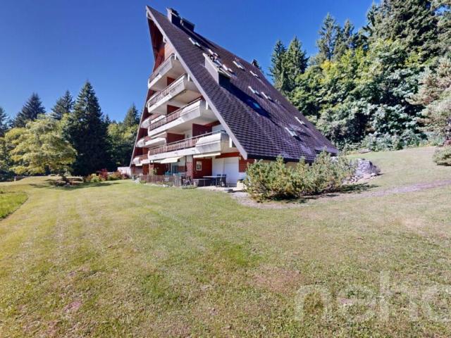 Gryon Appartement 2 chambres Vue sur les Muverans et Dents du Midi