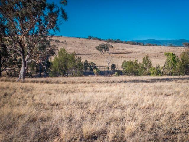 Gwandalan a highly regarded grazing property with scale