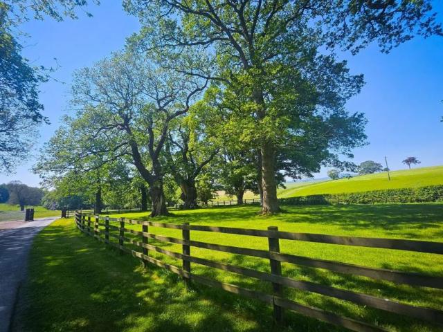 Gwysaney, Rhosesmor, MOLD