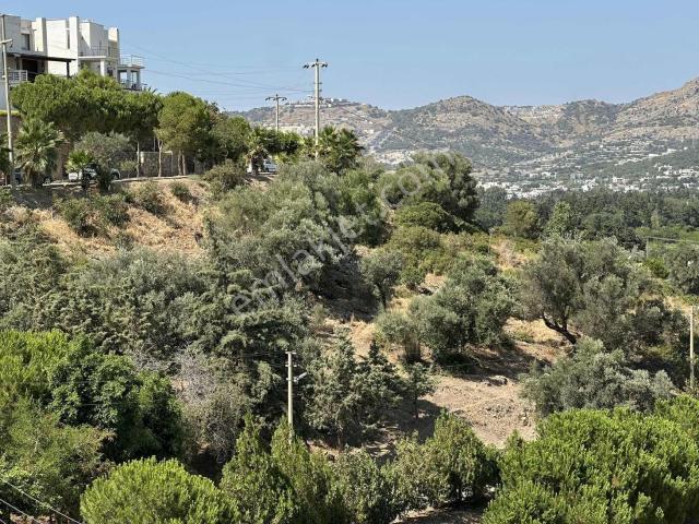 ! Gümüşlük Kadıkalesin'de Fırsat Villa !