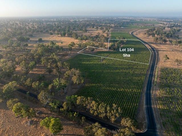 Gum studded 5 hectare allotment two minutes from Penola
