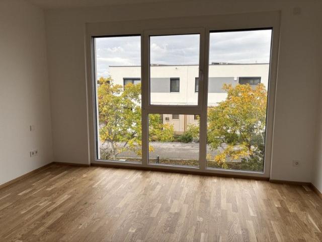 Gumpoldskirchen, Erstbezug