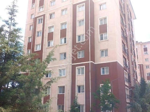 Güngör Emlak'tan Macunköy Toki Konutları'nda Kiralık Daire