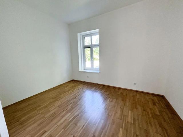 GÜNSTIG und GEPFLEGT!