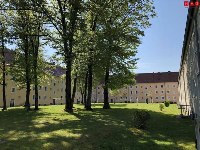 Günstige Starterwohnung in herrlicher Grünlage: praktische 1 Zimmerwohnung mit heller Wohnküche und separatem Schlafzimmer im kleinen Mehrparteienhaus – ideal für Singles, Studierende oder Pendler!