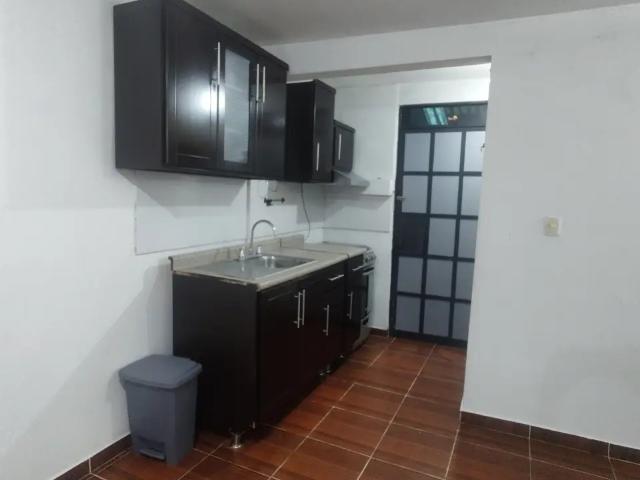 Guamuchil, pedregal de santo domingo, Coyoacán, 04369 ciudad