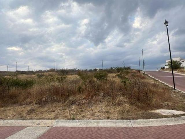 GUANAJUATO 2 TERR. VTA 500 MT Y 732 M2 FRACC. PRIVADO A 20 MIN, GTO OPORTUNIDAD UNICA APROVECHALA