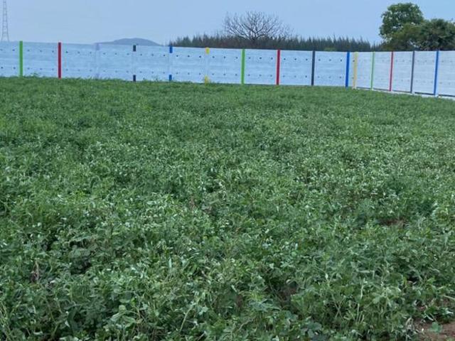 Guduvancheri Residential Plot For Sale Chennai