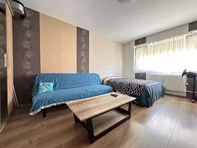 Guebwiller 68500 Achat / Vente appartement 1 pièce t1 cave