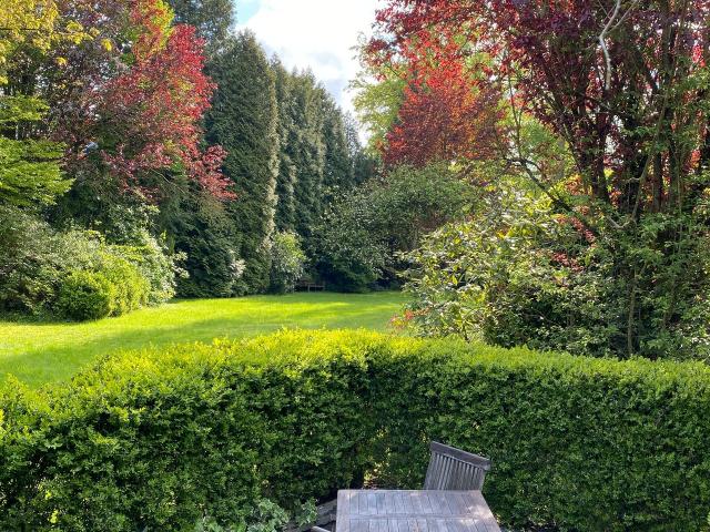 Guest suit, park like garden, terrace, Ratingen Amsterdam Apartments for Rent