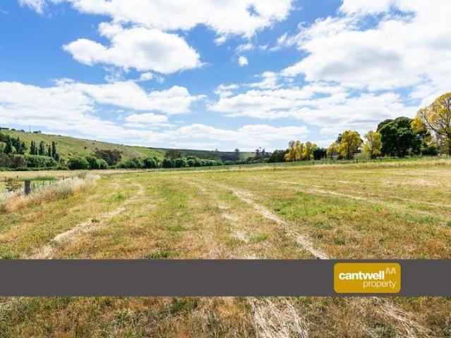Guildford Golden Opportunity