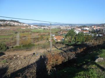 Guimarães Guimarães 100662820