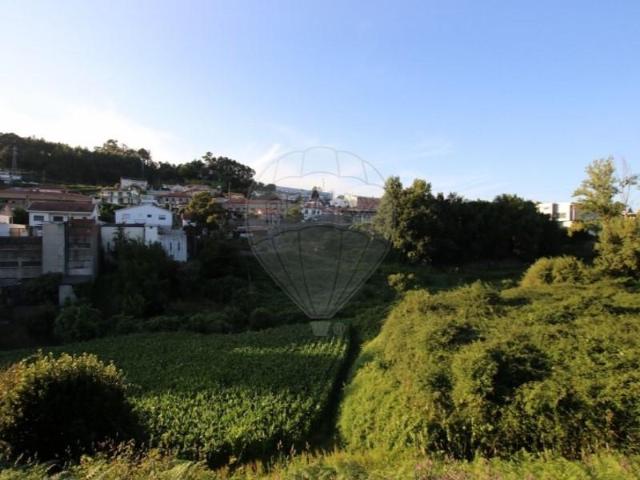 Guimarães Guimarães 104792544