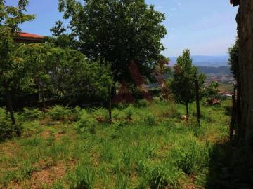 Guimarães Guimarães 4805 102723320