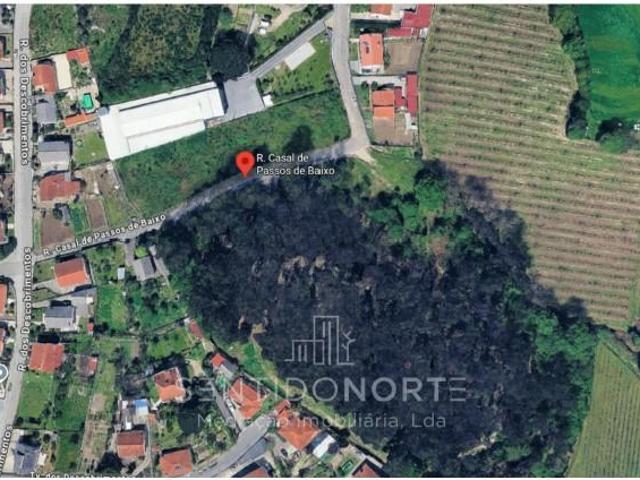 Guimarães Guimarães 95264571