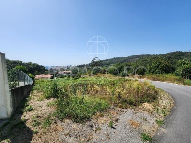 Guimarães Guimarães 97122676