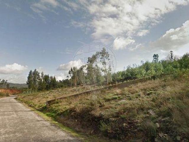 Guimaraes Braga 100020193