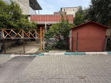 Gültepe Mh , Adana, Adana ili, Akdeniz Bölgesi