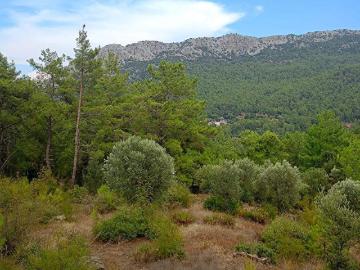 Kumluca, Antalya, Antalya ili, Akdeniz Bölgesi