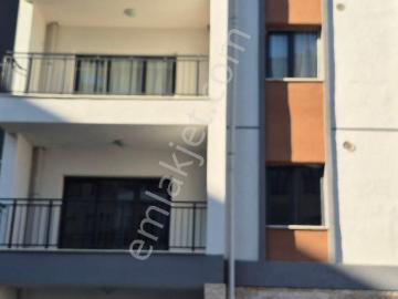 Ekinci, Antakya, Antakya, Hatay, Akdeniz Bölgesi