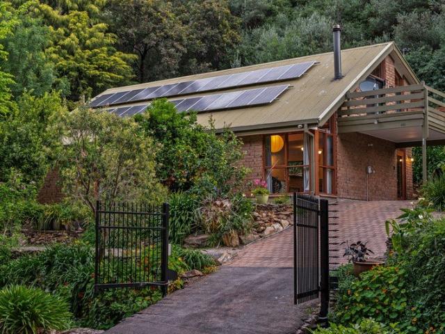 Gully Grandeur, Architectural Warmth & a Lifestyle Immersed in Nature