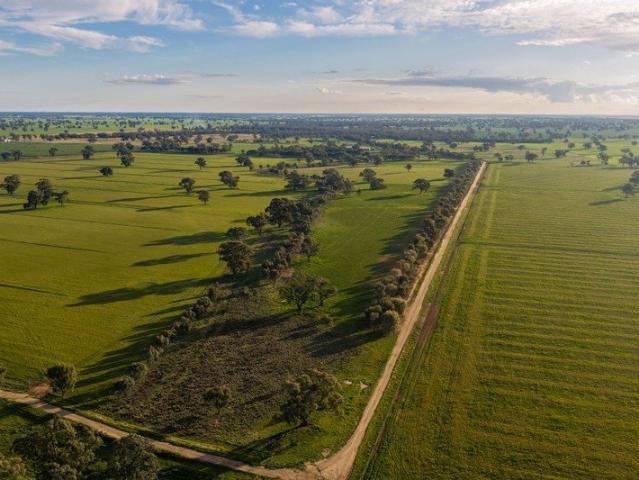 'Gully Green' Moama NSW Premium Livestock, Irrigation & Cropping Holding 459.3 Hectares / 1,135.1 Acres