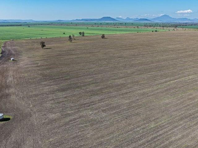 Gurley District Cultivation Lease