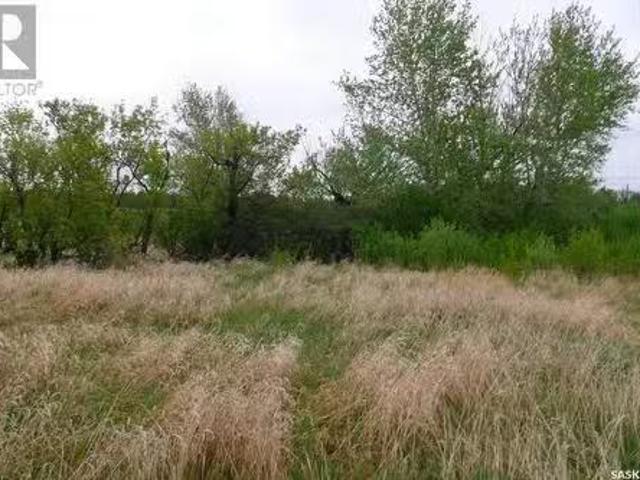 Gustavson Property, Longlaketon Rm No. 219, SK, S0G 1J0 vaca.