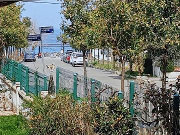 Güzelçamlı Sahile 15o M. Havuzlu Site İçerisinde Yazlık