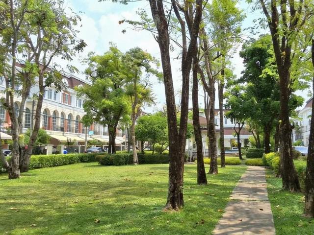 ให้เช่าทาวน์โฮม 3 ชั้น Plus City Park Ekkamai Ramintra นวลจันทร์ 32 บ้านเล่นระดับ เพดานสูง โปร่ง โล่ง ฟังก์ชันครบ พร้อมอยู่ ทำเลนวลจันทร์