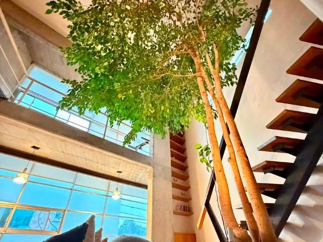 H E R M O S O Loft de 120 m2 en Ciudad de los Deportes!