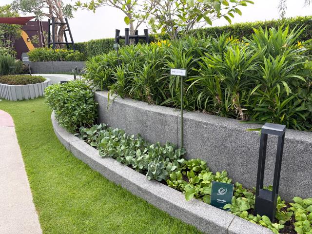ห้องเลี้ยงสัตว์ได้ The Muve Sukhumvit 107