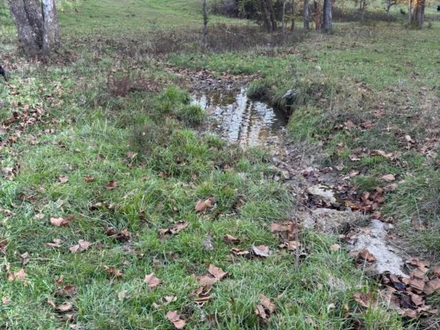 Hc 73 County Road 245