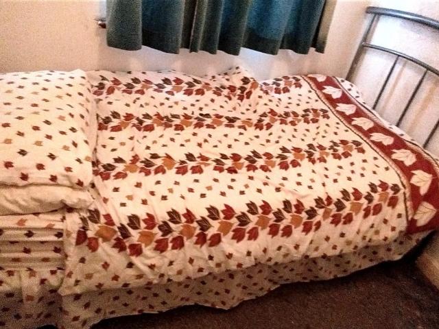 HA7 1LY 1 bed house to rent £1,000 pcm £231 pw