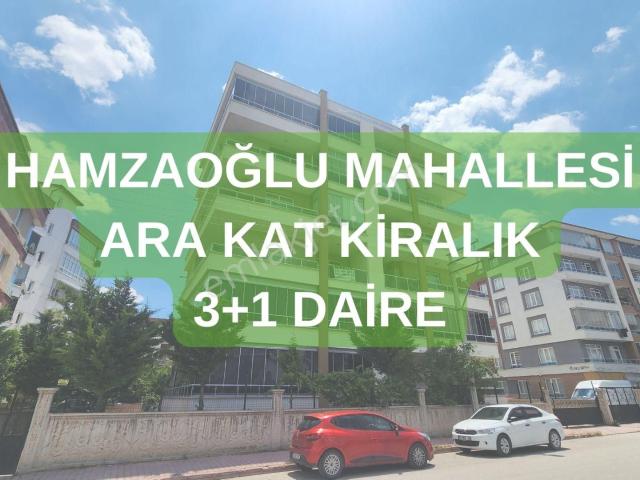 Hamzaoğlu Mahallesi Ara Kat Kiralık 3+1 Daire