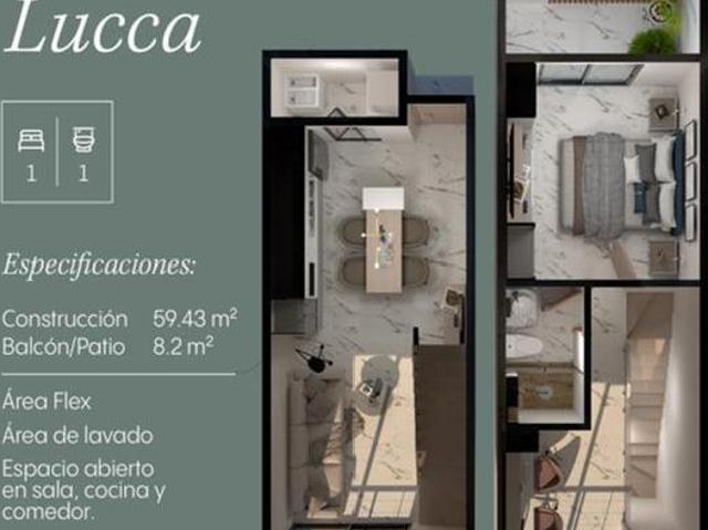 HAMBURGO MODELO LUCCA 4