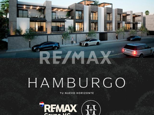 HAMBURGO MODELO PAULI
