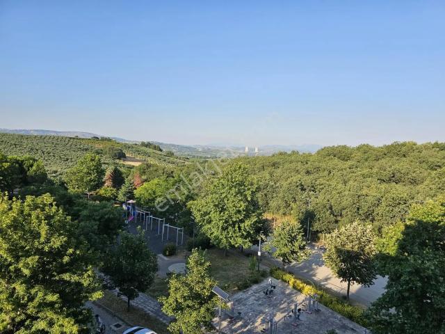 Hamitler Tokide 4 Katlı Bloklarda Satılık 2+1 Daire