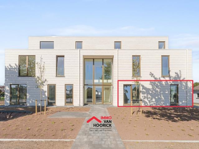 Handelspand te huur Lokeren