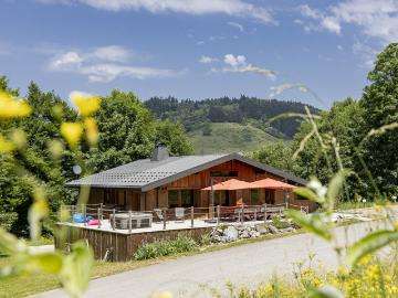 74420, Haute-Savoie, Rhône-Alpes - Terrasse