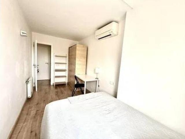 Habitación Alquiler Palma de Mallorca, Cort