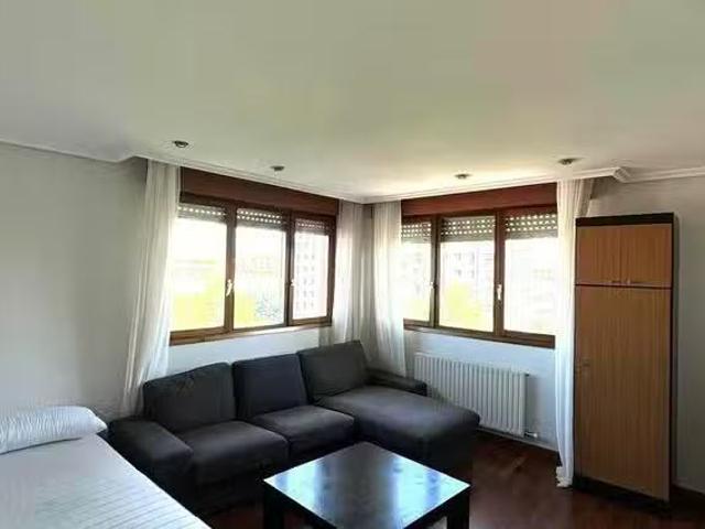 Habitación en Caballo de Pica kalea, Arriaga Lakua