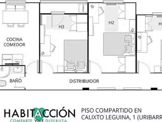 Habitación en Calle Calixto Leguina, Uribarri